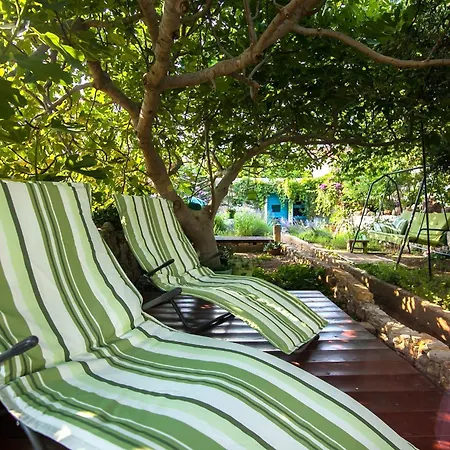 Art - Tatil Evi