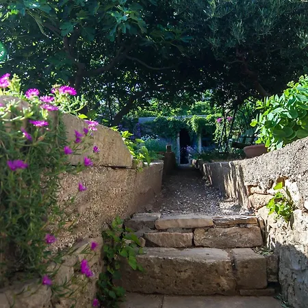 Art - Tatil Evi *
