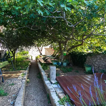 Tatil Evi Art - *